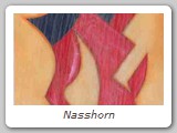Nasshorn
